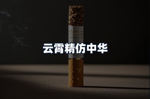 云霄精仿中华